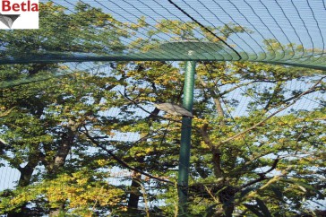 Siatki Pionki - Siatka zabezpieczająca do ochrony - siatka na woliery do hodowli ptaków dla terenów Miasta Pionki